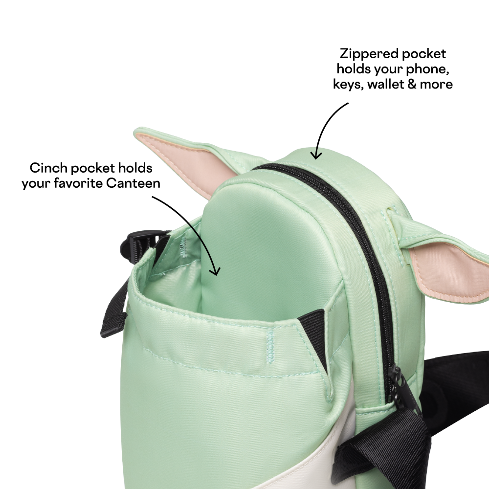 disney-sling-c8 53593b3e49e2--Sling-PDP-4.png